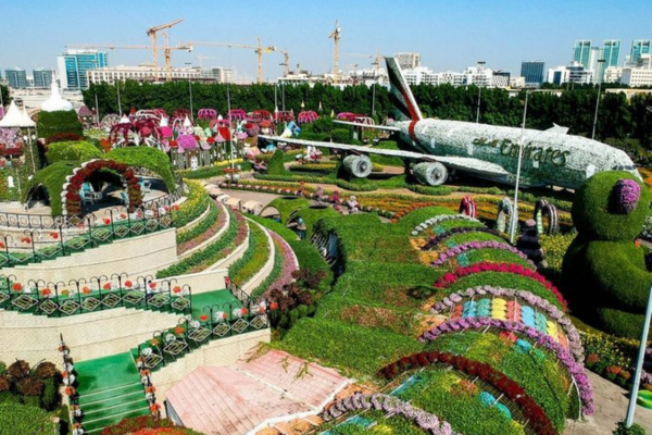 Miracle Garden Ticket